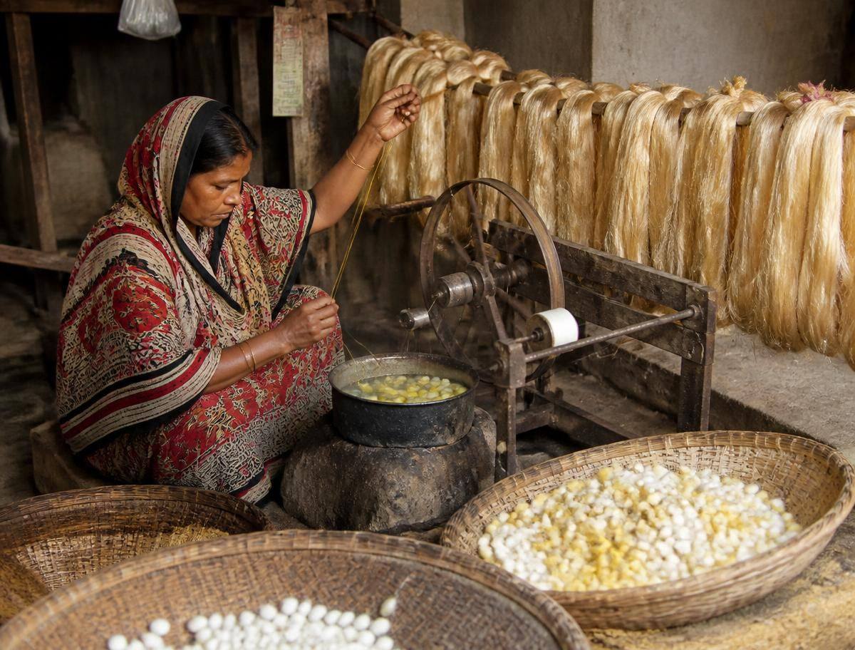 Silk reeling in Rajshahi — cocoons in cane trays, filament drawn from a boiling pan onto a reeling wheel with raw silk skeins drying behind